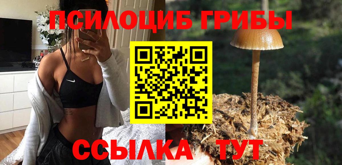 Павлово  Псилоцибиновые грибы мицелий  Вход с VPN 
