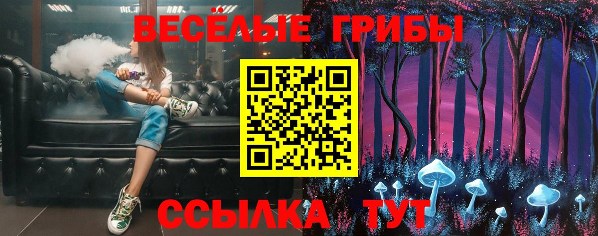 Псилоцибиновые грибы мицелий Павлово
